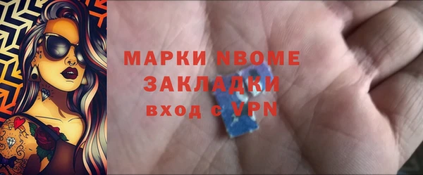 индика Алексин