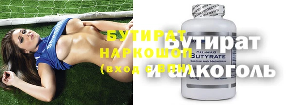 индика Алексин