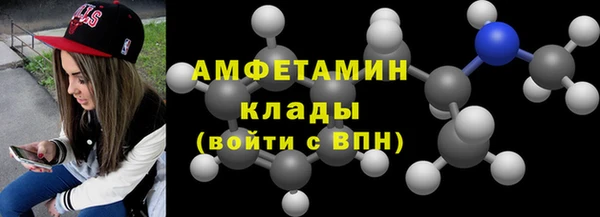 индика Алексин