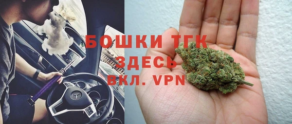 индика Алексин