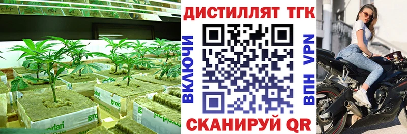 сколько стоит  Петушки  ТГК гашишное масло 