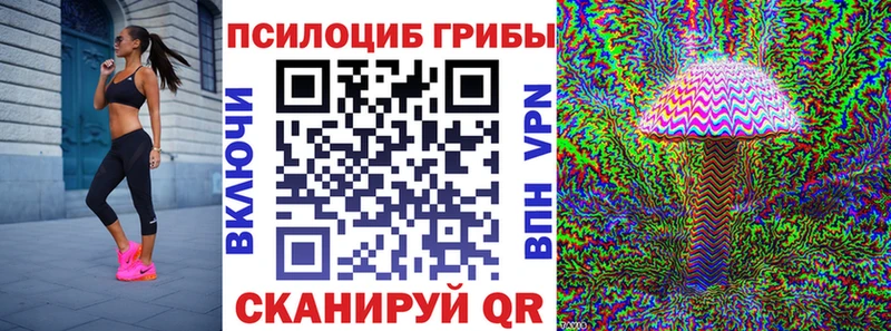 ссылка на мегу tor  Петушки  Псилоцибиновые грибы Psilocybe 